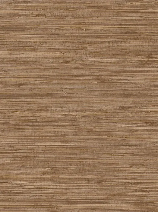DR1204