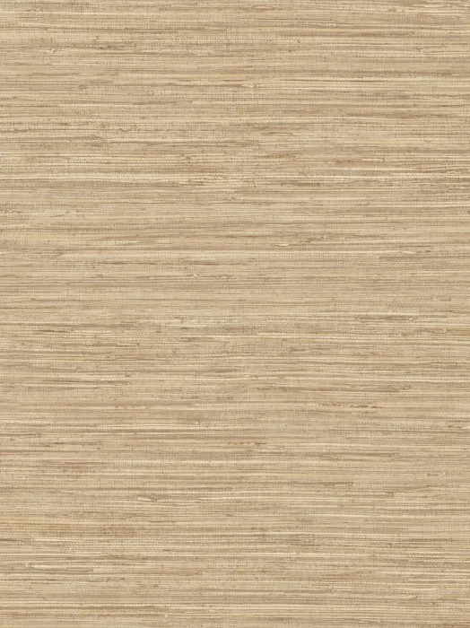 DR1203