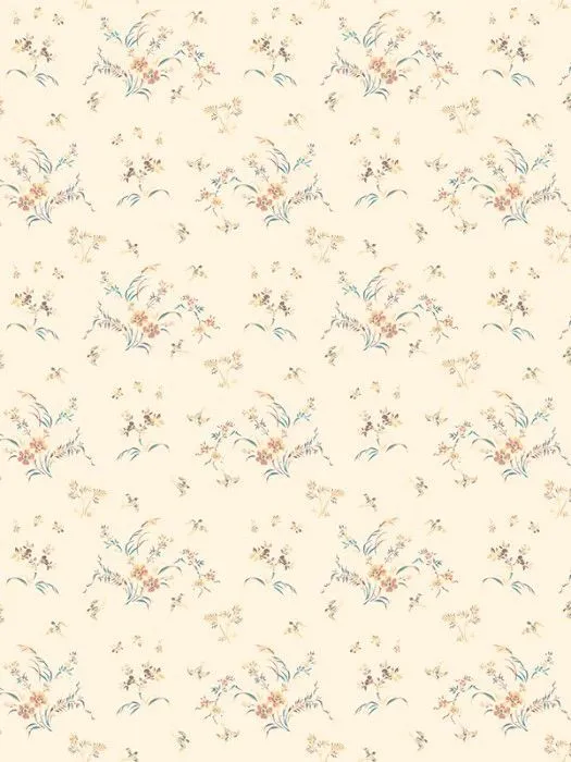 NP4 003