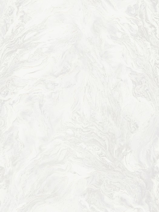 R217101