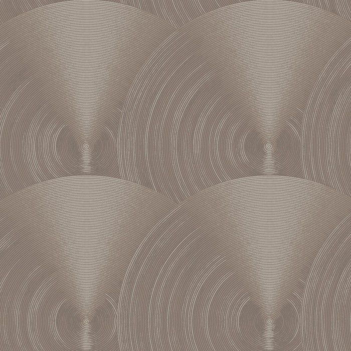 OK2 009