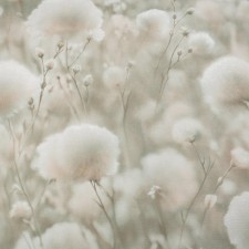 PL72543-72